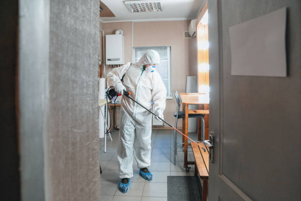 Asbestos and Lead Testing During Mold Inspection in Washington, IA